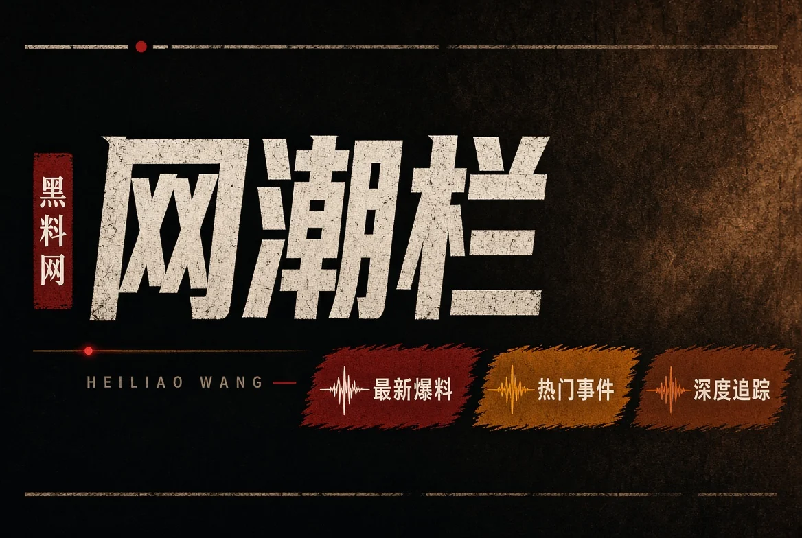 网络风向配图